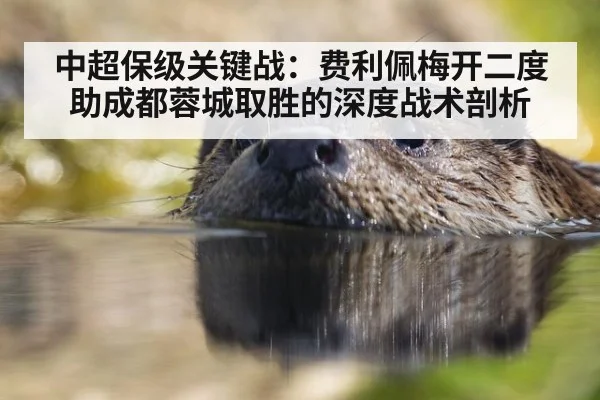 中超保级关键战：费利佩梅开二度助成都蓉城取胜的深度战术剖析