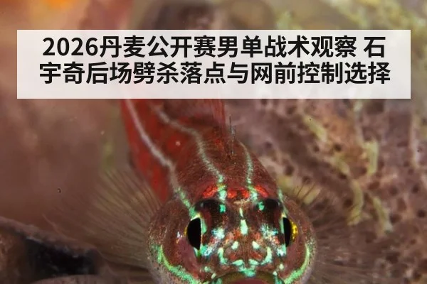 2026丹麦公开赛男单战术观察 石宇奇后场劈杀落点与网前控制选择